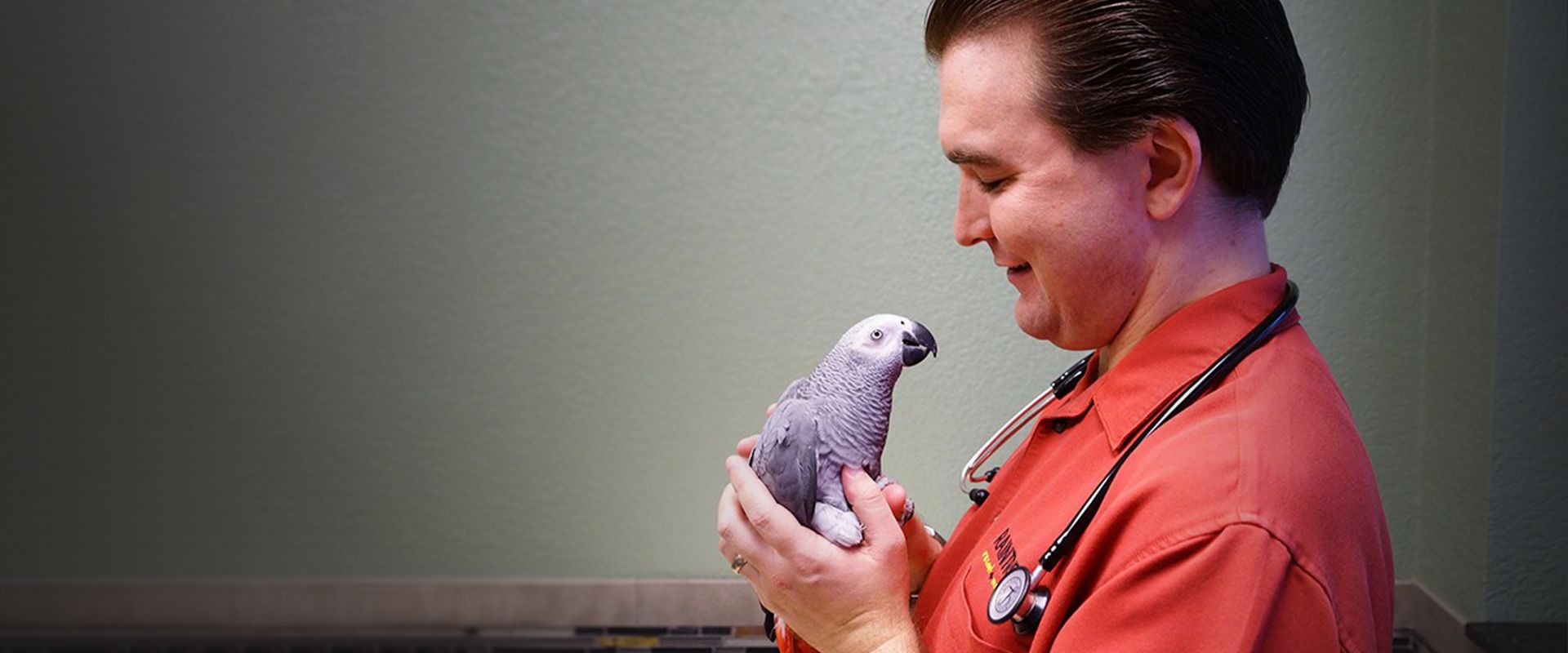 doctor savard holding a cockatoo