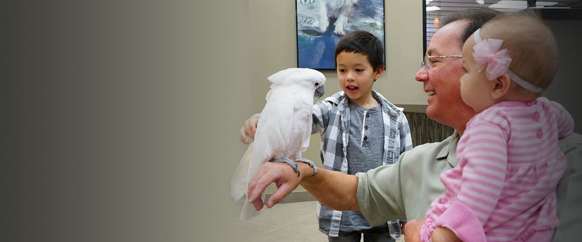 doctor homer savard showing a cockatoo some kids at raintree pet medical center