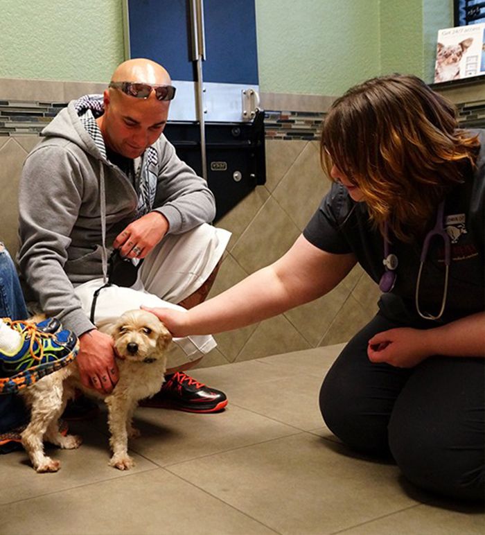 veterinarian petting dog at raintree pet medical center