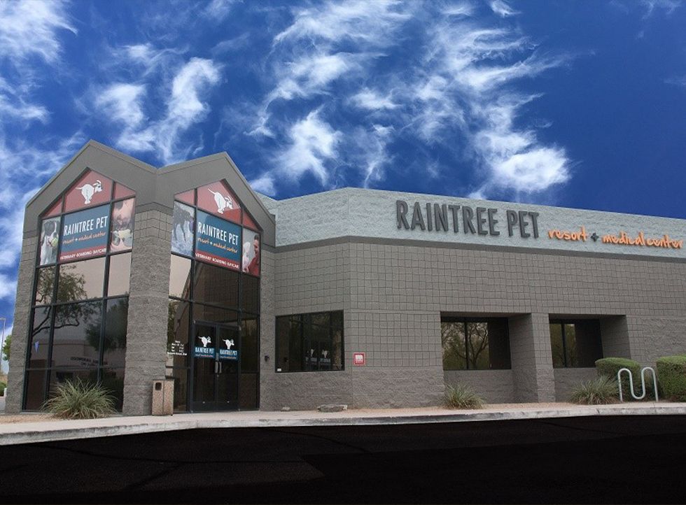 raintree pet resort and medical center exterior