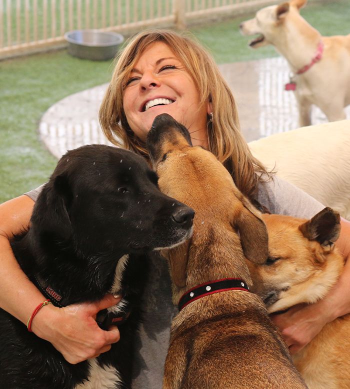 woman hugging group of big dogs at raintree pet resort