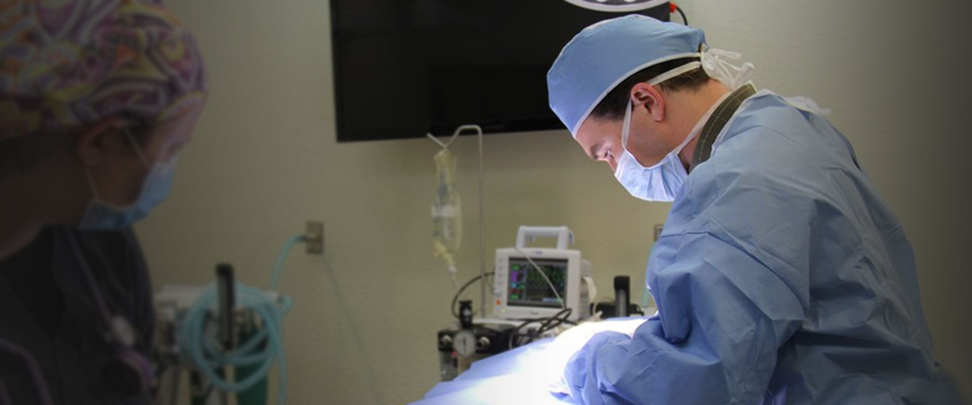 doctor benjamin savard performing surgery on dog at raintree pet medical center